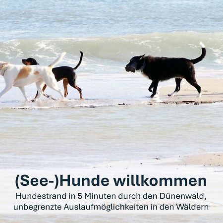 Paradies-Ambiente - Strandnah, Sauna, Kamin, Hundefreundlich Zinnowitz Ngoại thất bức ảnh