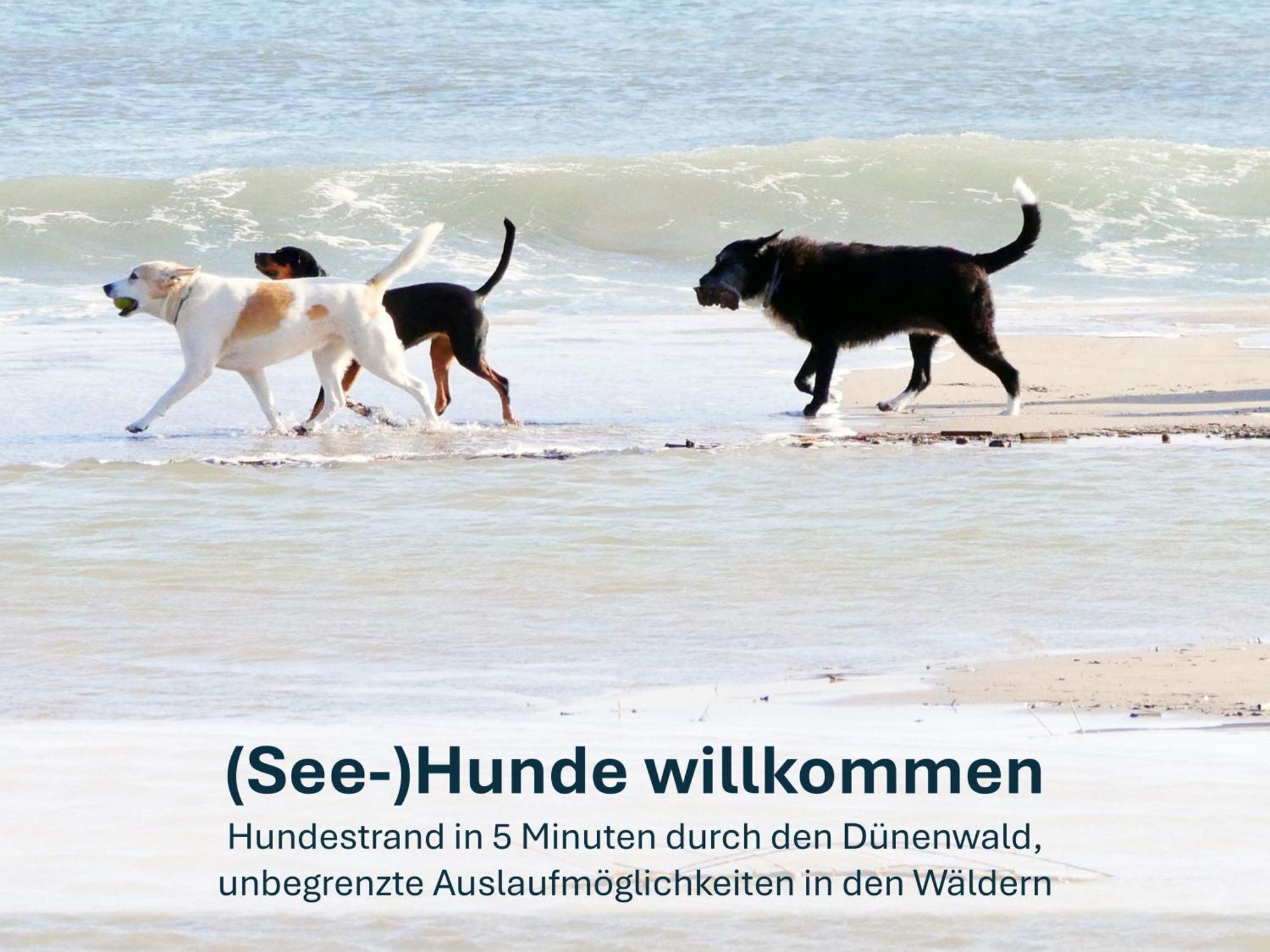 Paradies-Ambiente - Strandnah, Sauna, Kamin, Hundefreundlich Zinnowitz Ngoại thất bức ảnh
