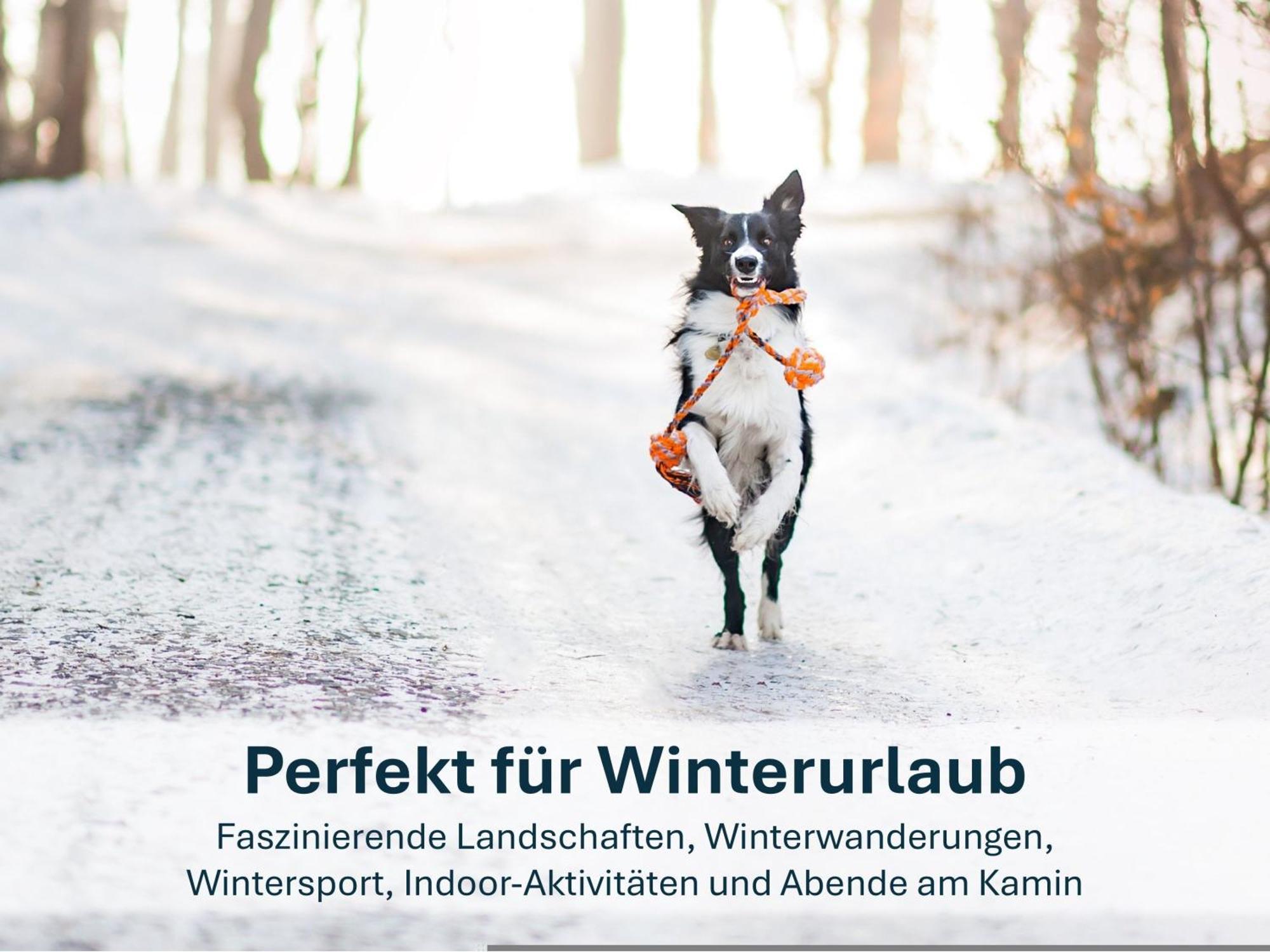 Paradies-Ambiente - Strandnah, Sauna, Kamin, Hundefreundlich Zinnowitz Ngoại thất bức ảnh